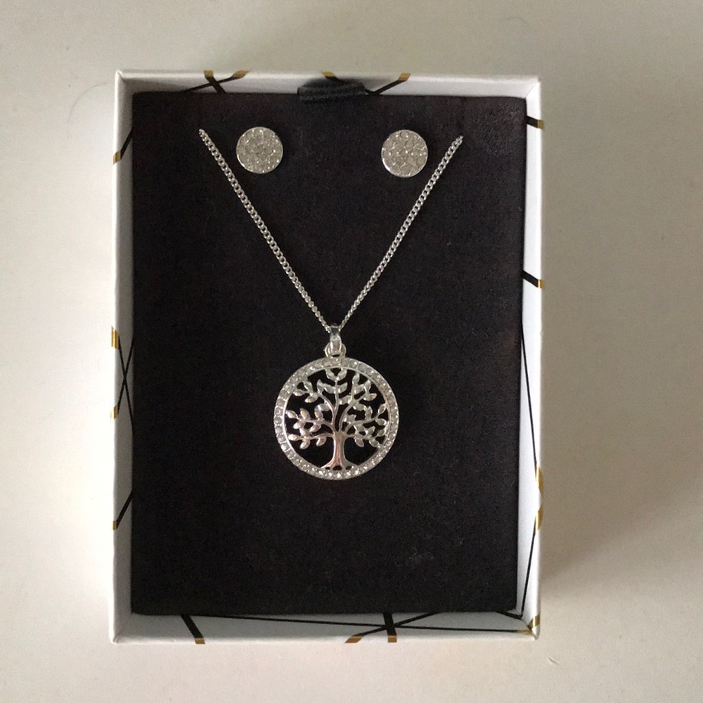 Silver necklace and earring set